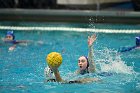 WWPolo vs CC  Wheaton College Women’s Water Polo compete in their sports inaugural match vs Connecticut College. - Photo By: KEITH NORDSTROM : Wheaton, water polo, inaugural